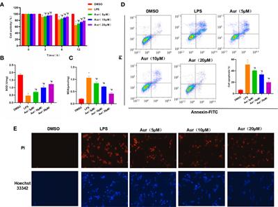 The Mechanism of Aureusidin in Suppressing Inflammatory Response in Acute Liver Injury by Regulating MD2